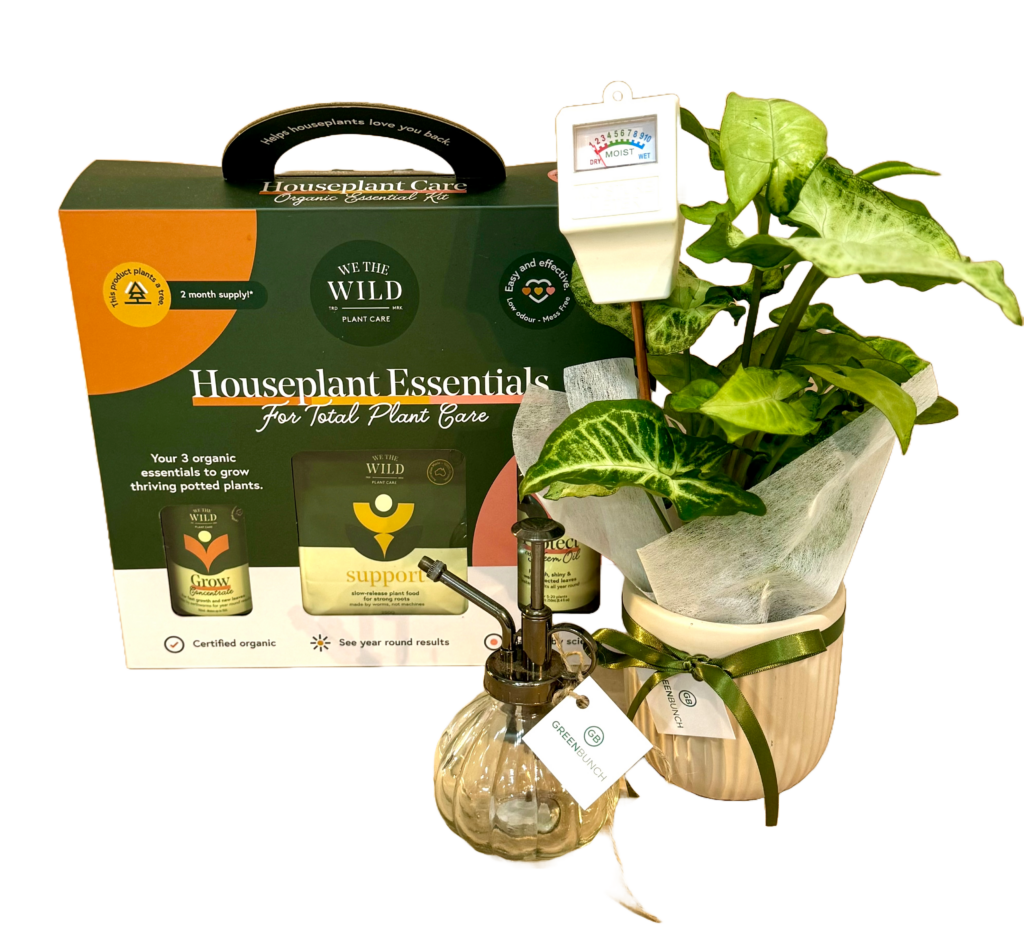 hampers-greenbunch
