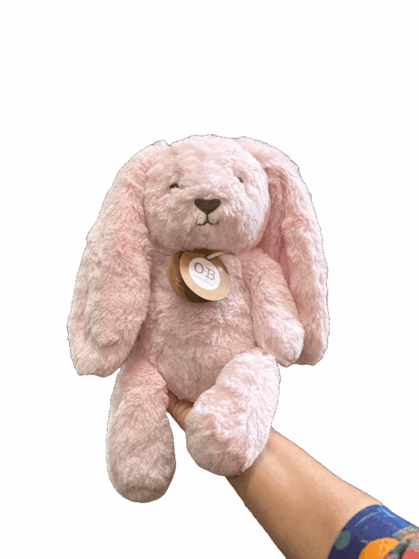 Betsy Bunny