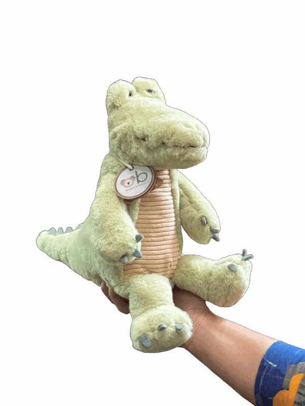 Rocco The Croc