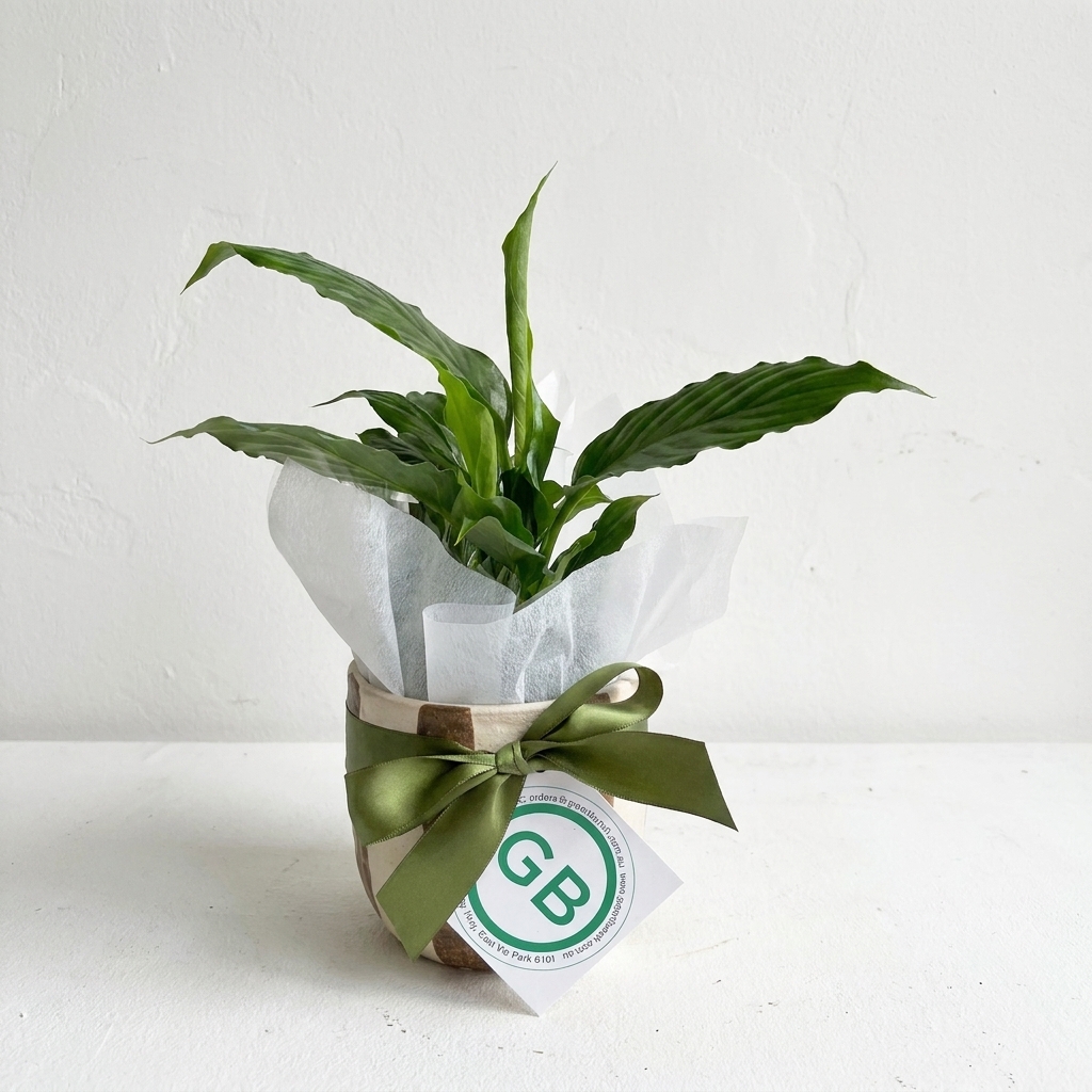 Rayas Ceramic Pot | Small