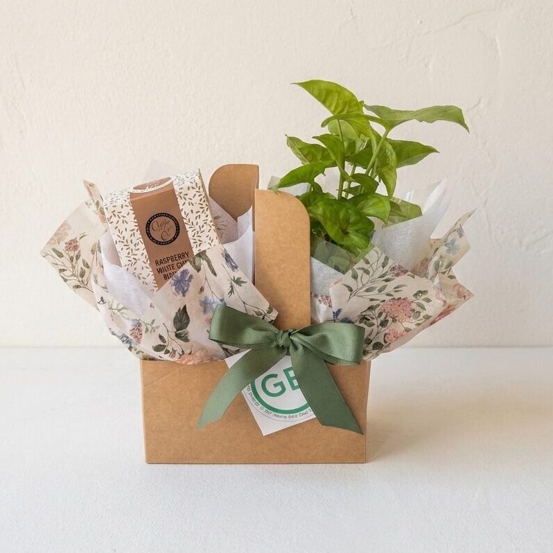 Houseplant Carrier Set | Cookies | Mini Hamper | Same day hamper delivery Perth