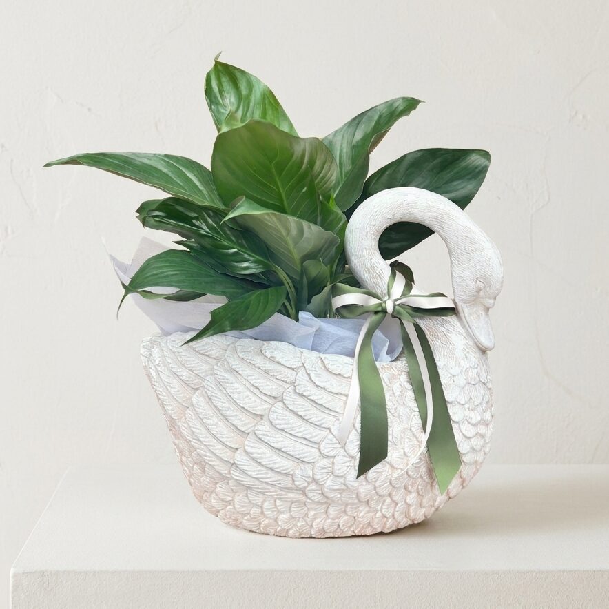 Sally Swan Planter | Concrete Swan Planter
