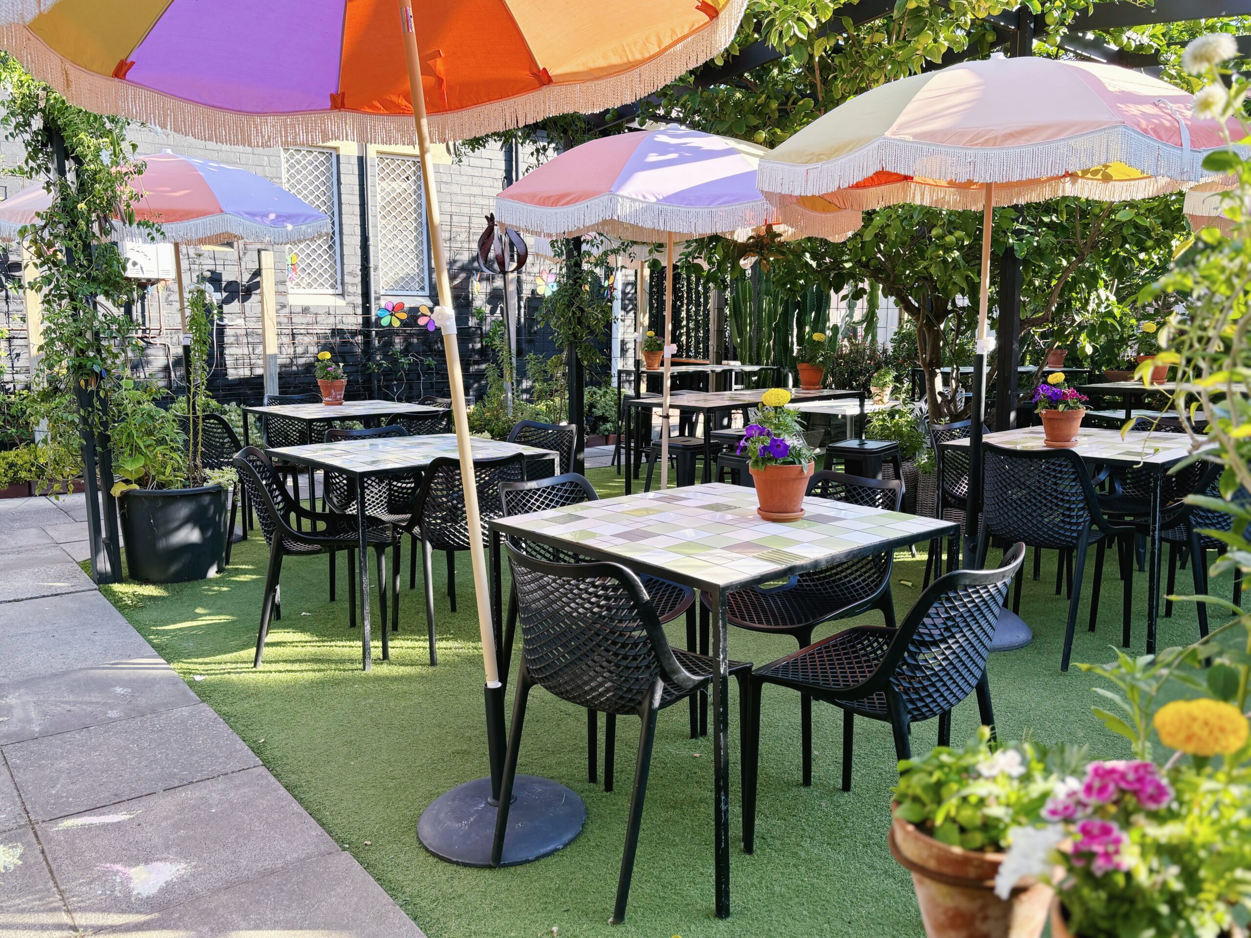 Greenbunch garden