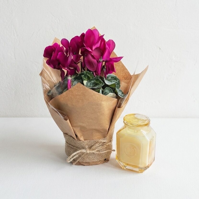 Cyclamen & Paddy Wax Glass Candle | Paddy Wax Cotton & Teak Soy Wax Candle
