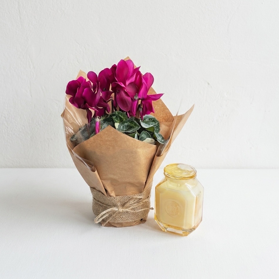Cyclamen & Paddy Wax Glass Candle | Paddy Wax Cotton & Teak Soy Wax Candle
