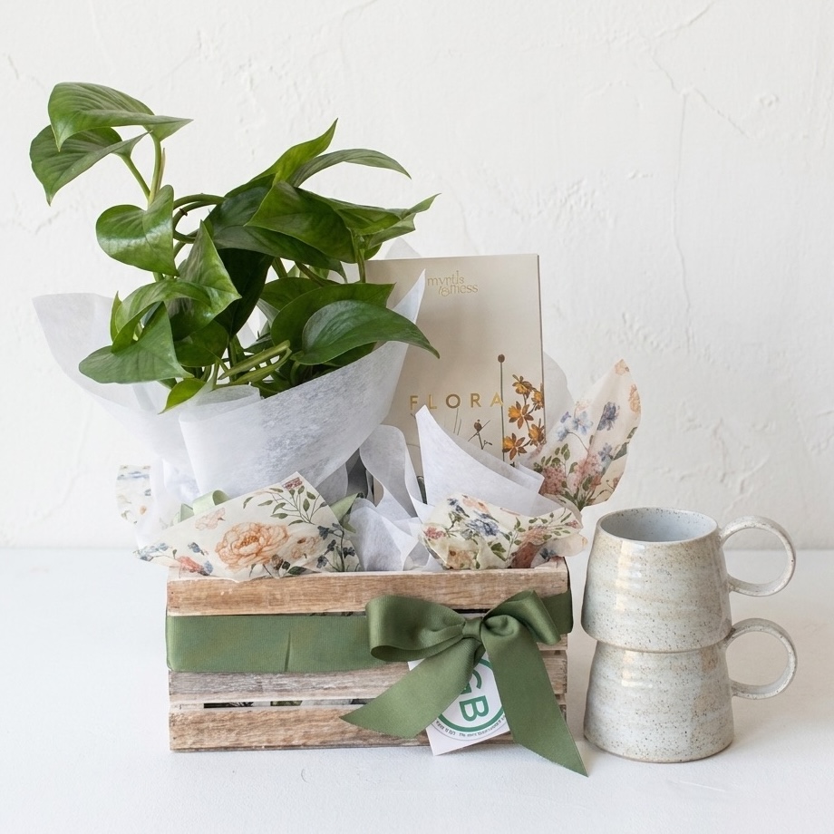 Natural Home Gift Set | New home gifts, housewarming gift, corporate gifting | Robert Gordon ceramic Ceylon mugs, Myrtle & Moss diffuser Flora, Devils Ivy in white ribbed pot