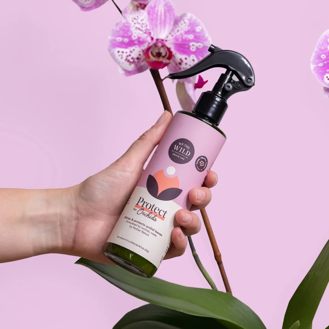 We The Wild Orchid Protect Spray | Orchid Plant Care
