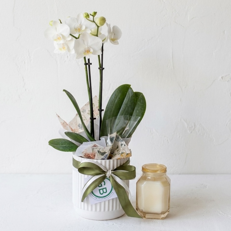 Orchid & Paddy Wax Glass Candle