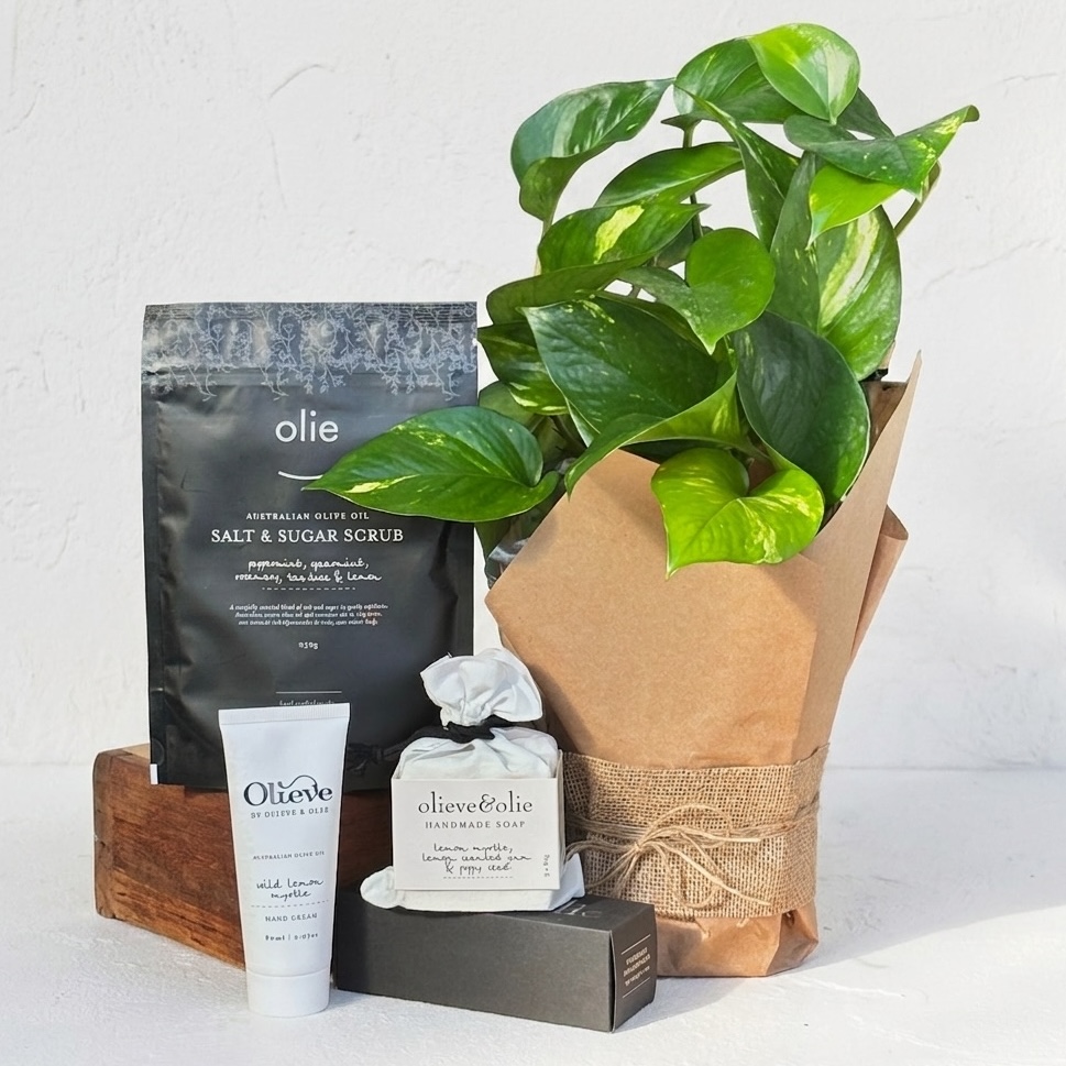 Plant & Pamper | Natural Gift Set | Olieve & Olie