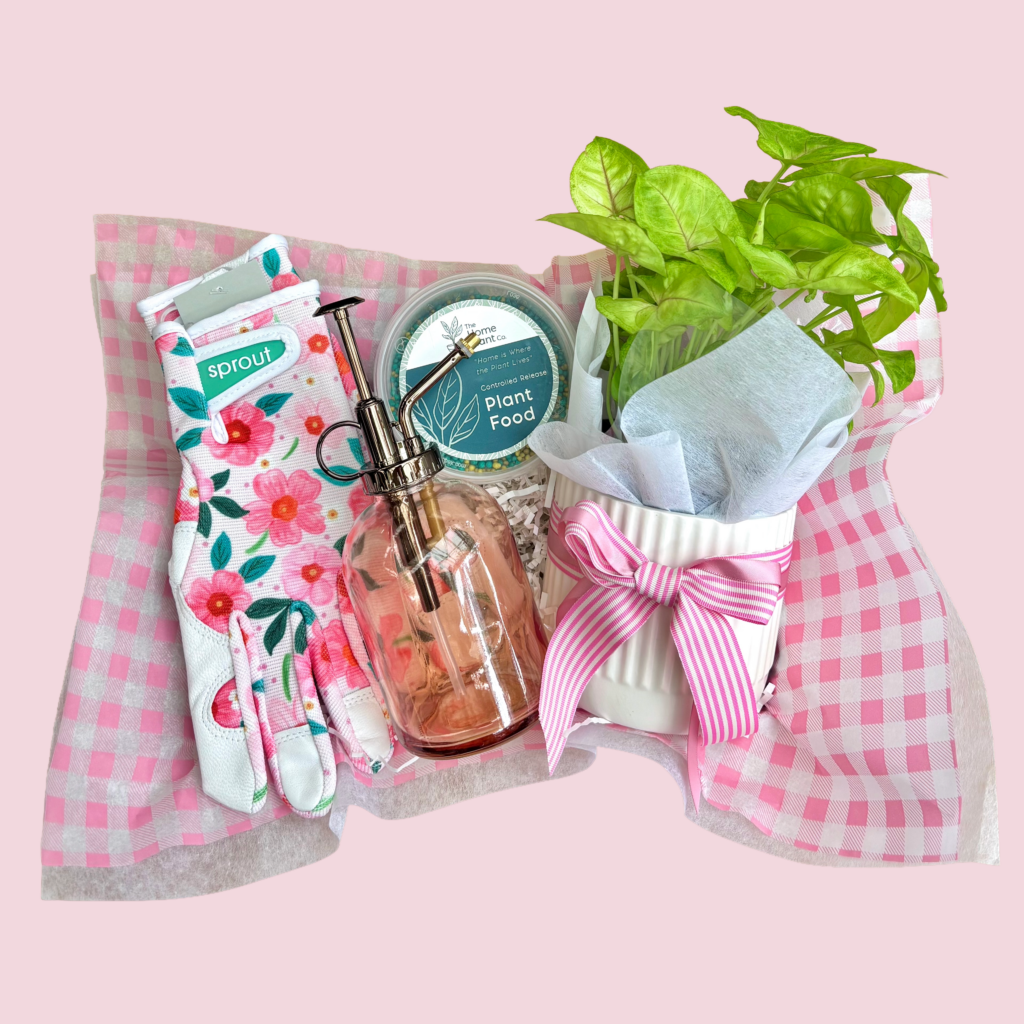 Mother's Day Hamper. Green Thumb Club Plant Hamper. Same day hamper delivery Perth. Plant Hamper with Sprout Garden Gloves, Plant Mister, Small indoor house plant, The Home Plant Co. Slow release fertiliser.