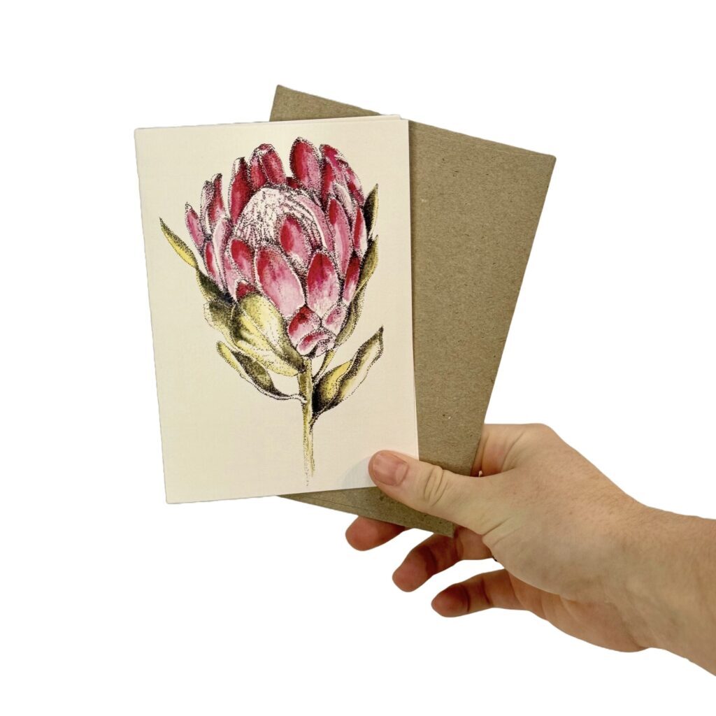 Greeting Card - watercolour protea design. Simple protea greeting card.