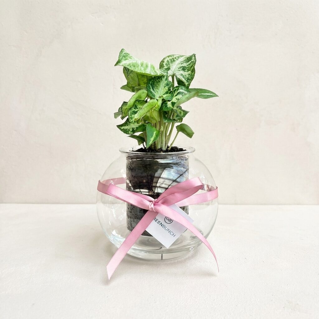 cup o flora glass self watering planter with tropical plant